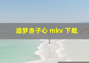 追梦赤子心 mkv 下载